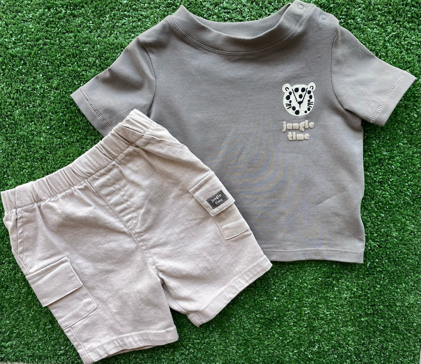 Conjunto Leão e Elefante