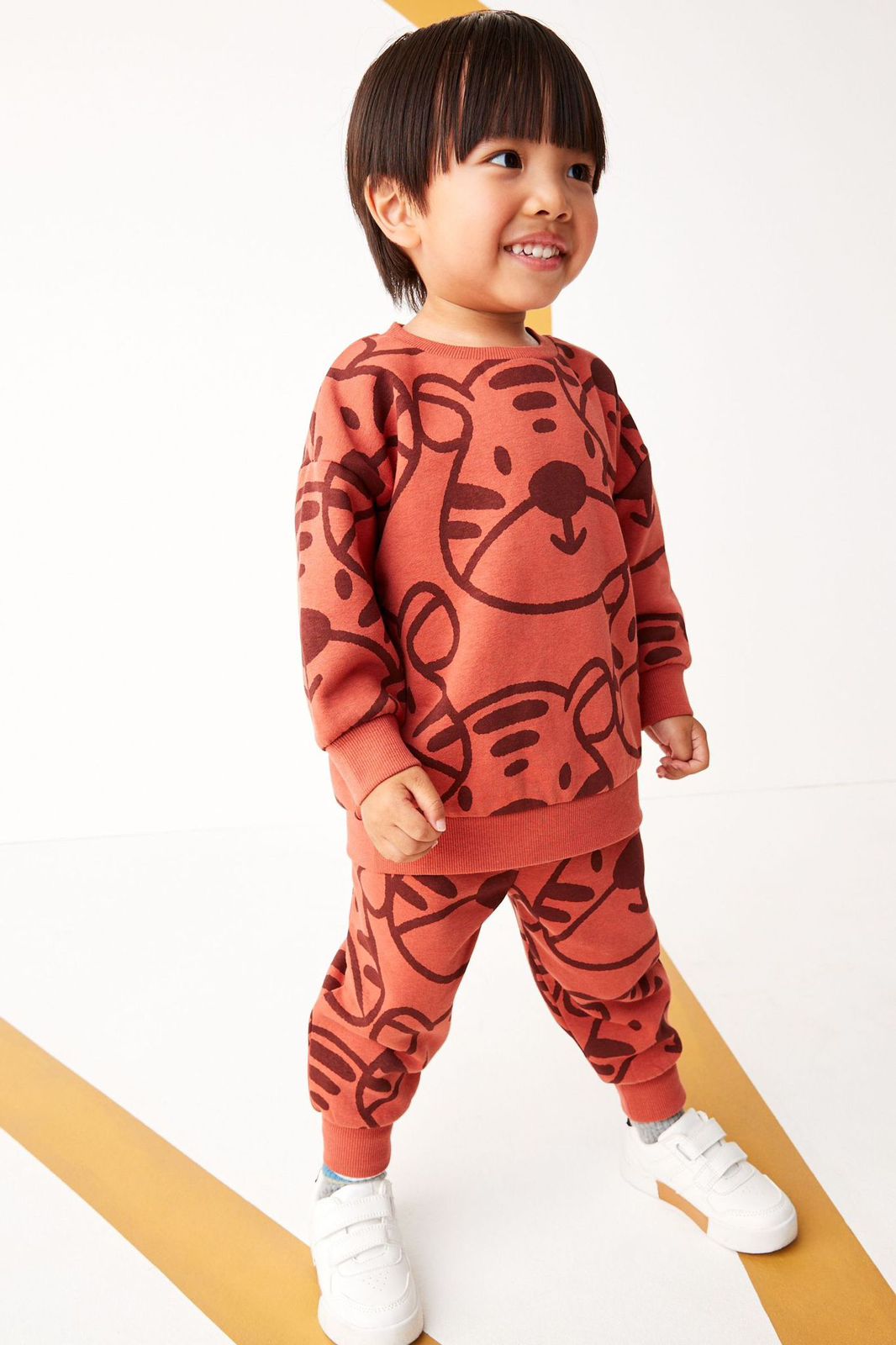 Conjunto Tigre