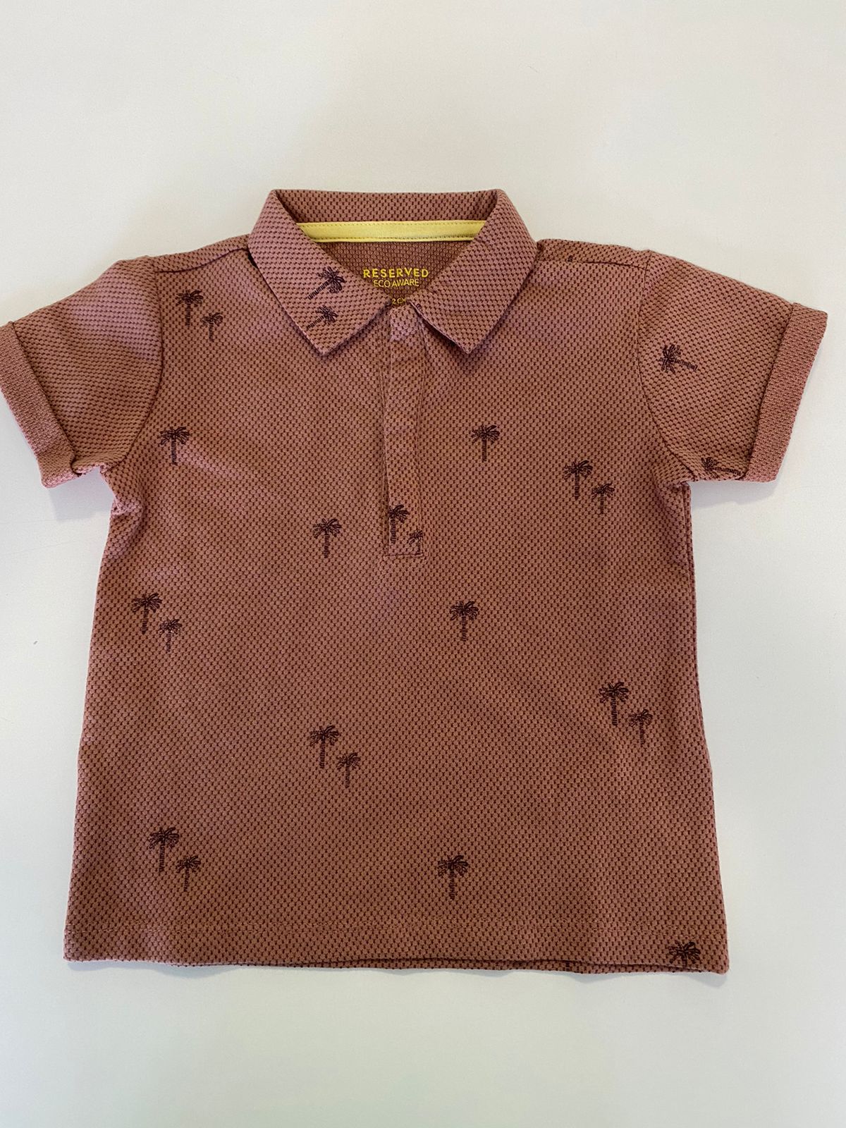 Polo coqueiro