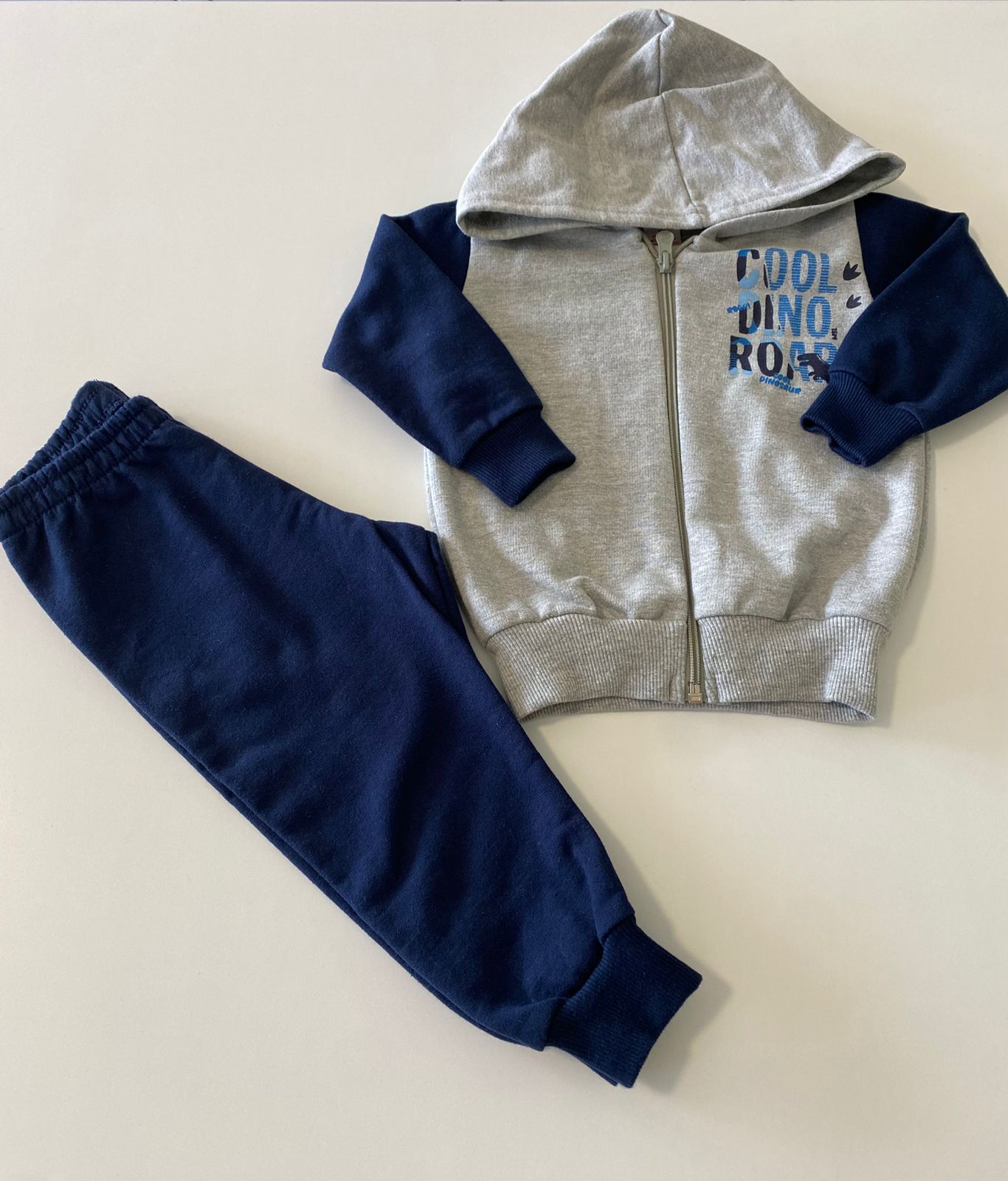Conjunto Dinossauro