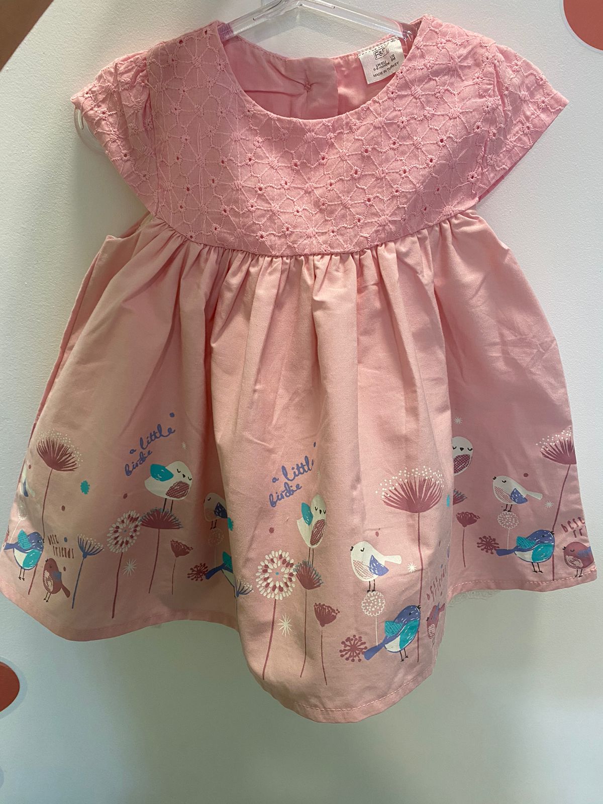 Vestido Rosa com Passaros na Barra