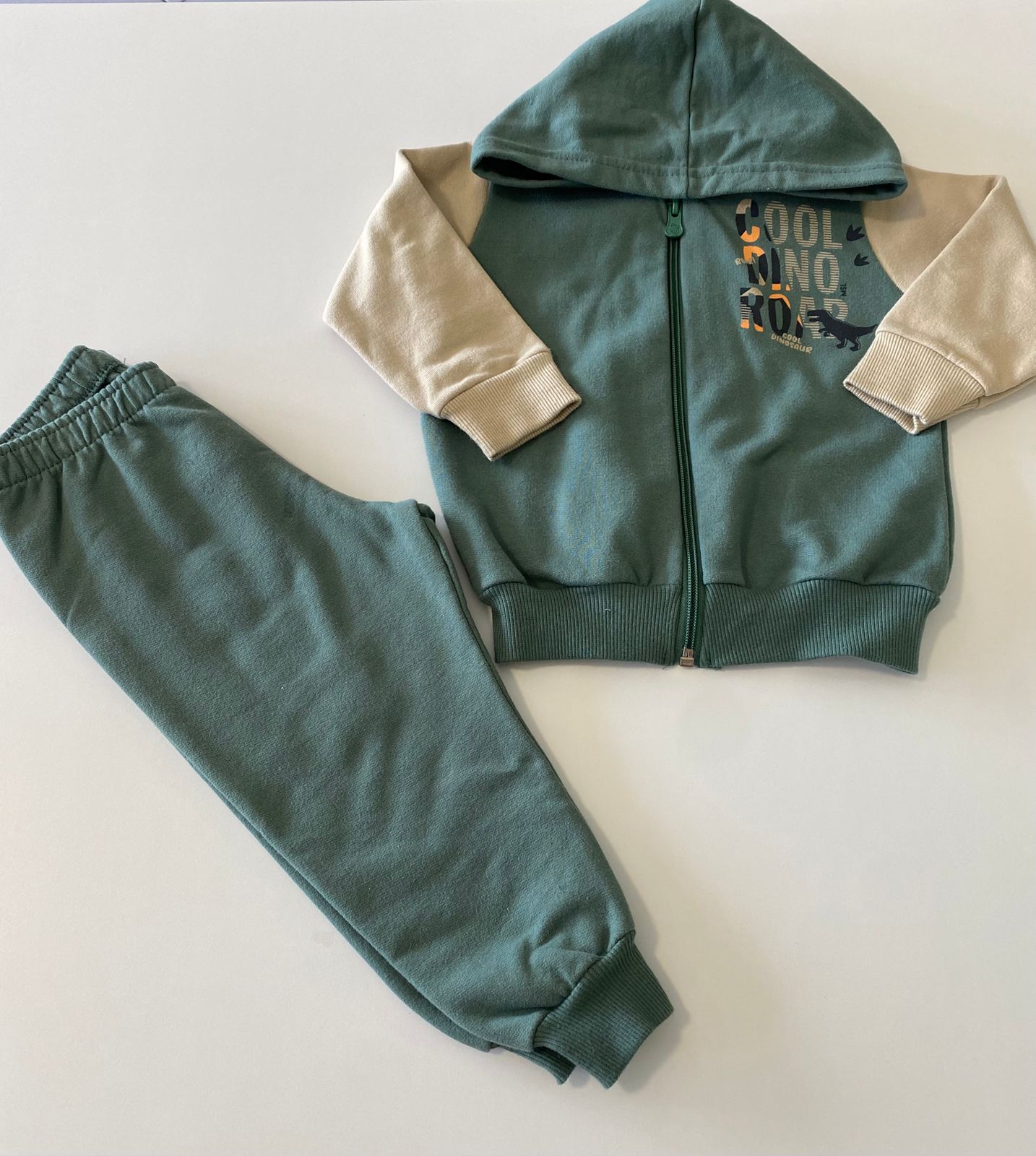 Conjunto Dinossauro