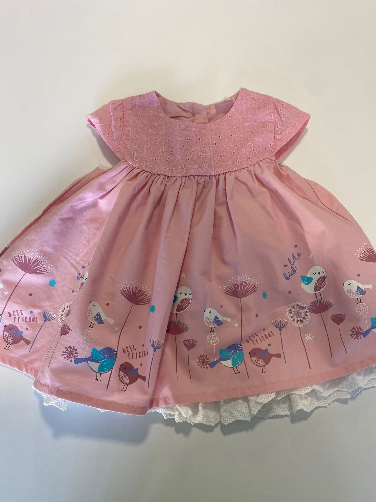 Vestido Rosa com Passaros na Barra
