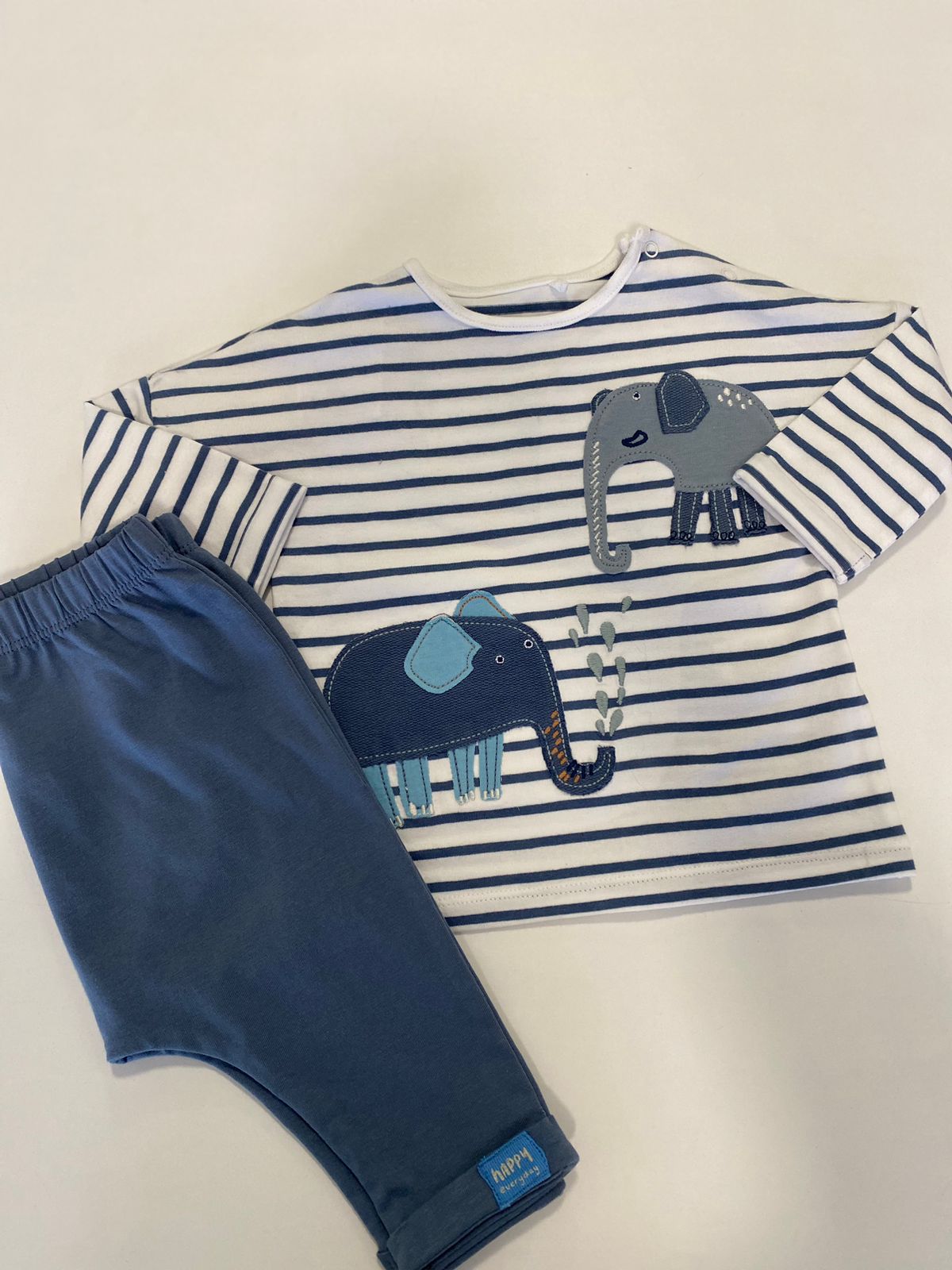 Conjunto Elefante