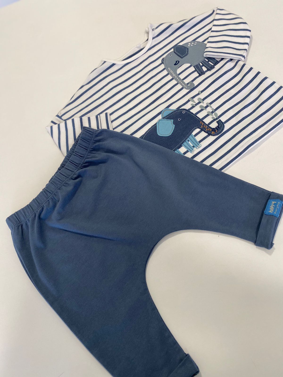 Conjunto Elefante