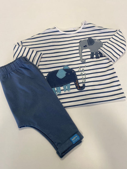 Conjunto Elefante