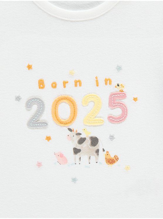 Body Manga Curta 2025