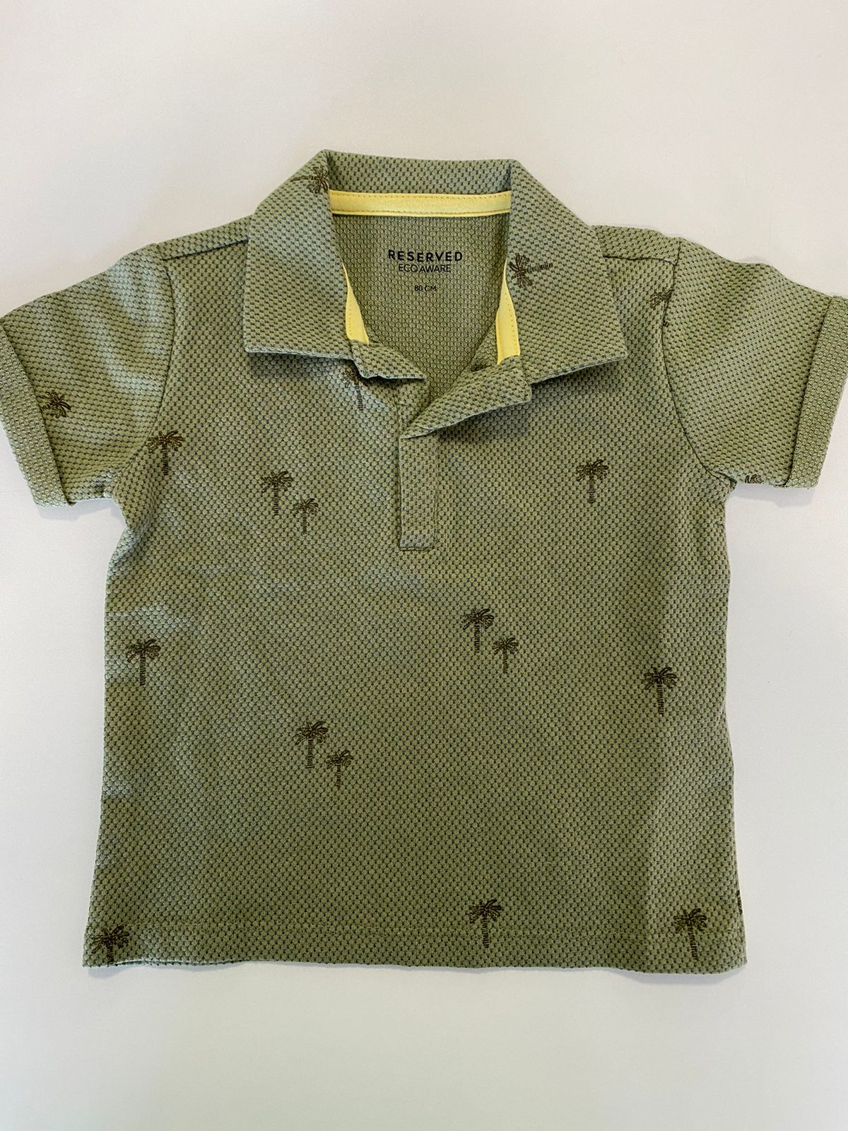 Polo coqueiro